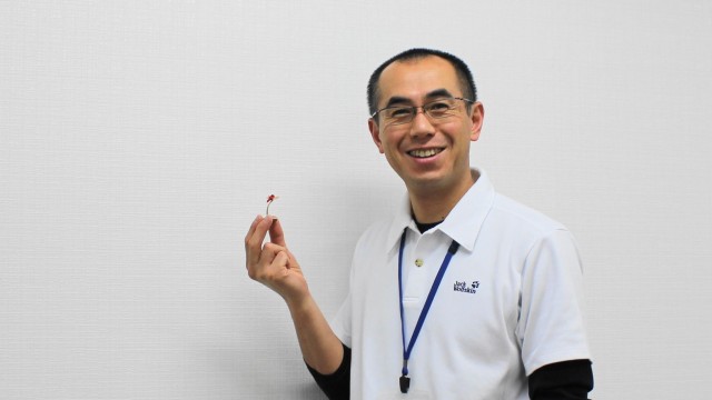 11046228_389034811305492_5915731363303893614_o