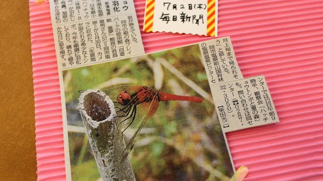 11415522_389034827972157_4962816533369853890_o