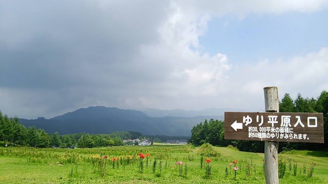 11755855_950930341633677_1535144931876856098_n