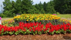 11796224_1644480122430787_5114417119169528643_n