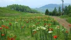 11796224_1644480125764120_1928212542058338994_n