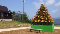 11828827_1644479355764197_8471145680811940485_n