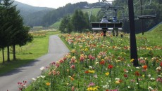 11828827_1644479359097530_560810828065768423_n