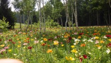 11828827_1644479362430863_8247969786991502071_n