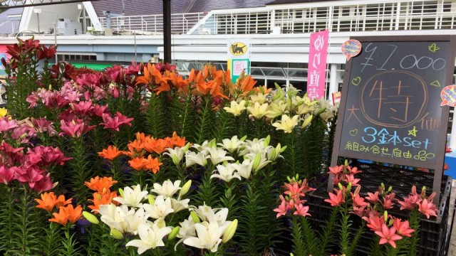 11880501_964401170286594_4604438958529639548_n