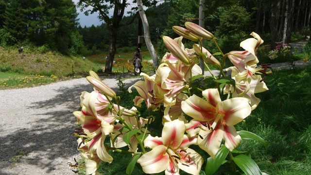 11880637_963620193698025_5972220057536247249_n