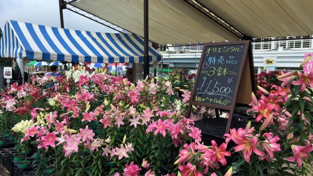 11896220_964401106953267_1114441265081003005_n