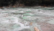 11999754_411987442343562_4670875939576311060_o