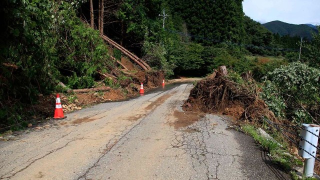 12002072_1237553016261806_4699439577754208531_n