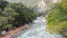 12002362_411987759010197_2285715305895849503_o