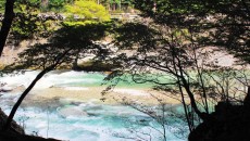 12019878_411987652343541_1049237721051269636_n