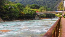 12034166_411987712343535_5393146324594553815_o