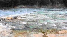 12038801_411987602343546_2104665848222764678_o