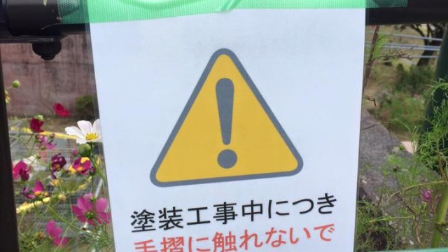 12039406_1663143430564456_3437593766047958421_n