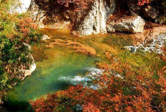 10407058_872037406207840_7097790040993735670_n