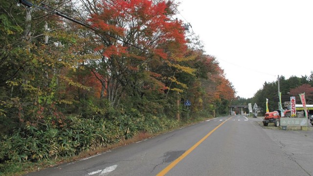 10411330_1667209320157867_2347643593246532789_n