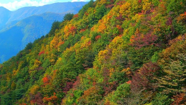 10683697_904437729646544_6188497201711948344_o