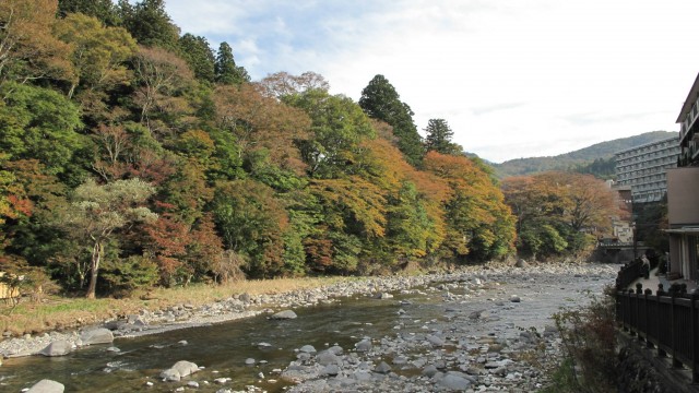 11224692_1669331649945634_4589983196921983985_o