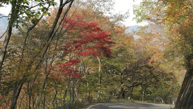 11229707_1669336699945129_6827524227762831230_o