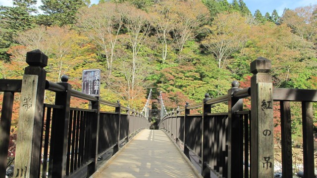 11700893_1669331306612335_1797443442664210129_o