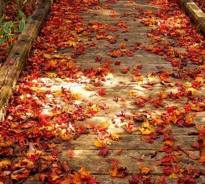 11988375_872037539541160_2330986895434082905_n