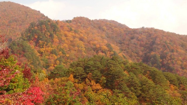 12017627_1667867060092093_1955523116196940723_o