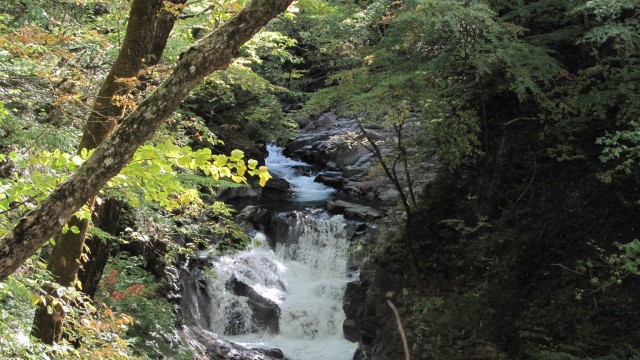 12068496_1666588490219950_2579334807498483337_o