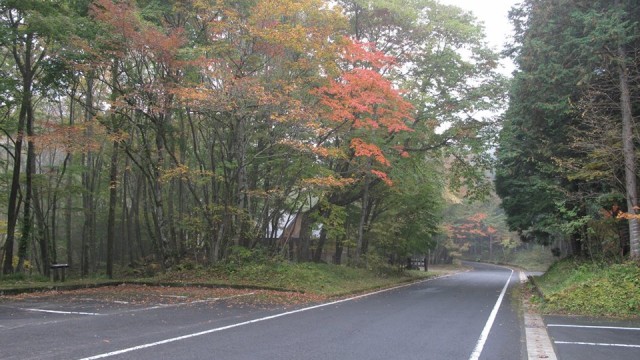 12074619_1667210873491045_2766239021826402834_n