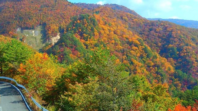 12080290_904437892979861_7139737017865298837_o