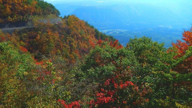 12087149_904438016313182_2300479597510044382_o