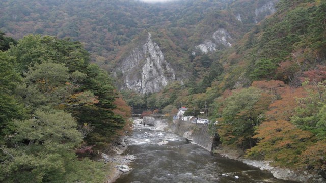 12088254_1667215563490576_4276541079423521040_n