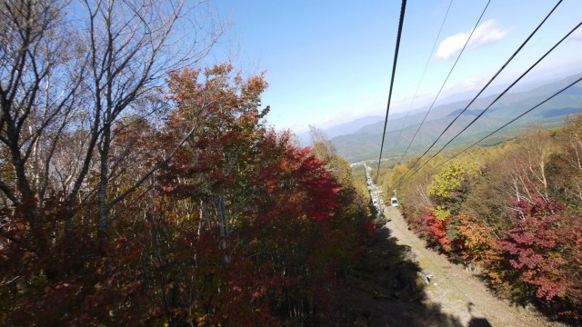 12095056_992416907485020_7846672755329751738_o