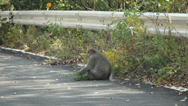 12095125_1667866743425458_4512606532435943008_o