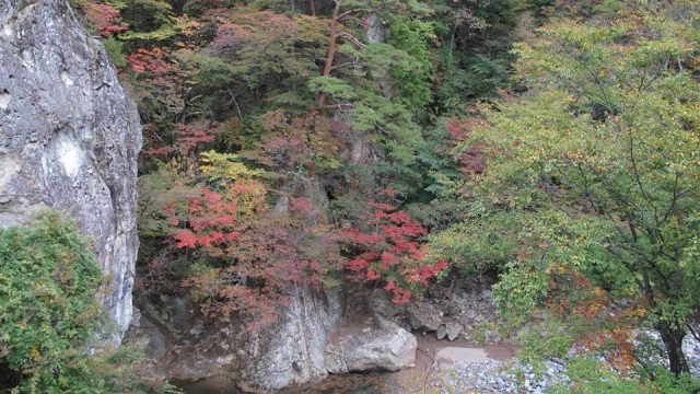 12096087_1667215296823936_2127871003123475870_n