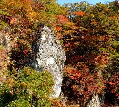 12107011_872037402874507_6327779964630297020_n