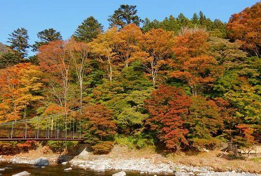 12112203_872037399541174_7214670072222804291_n