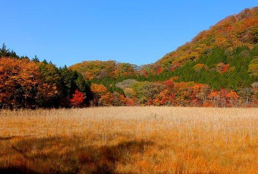 12112425_872037526207828_7852801033222835522_n