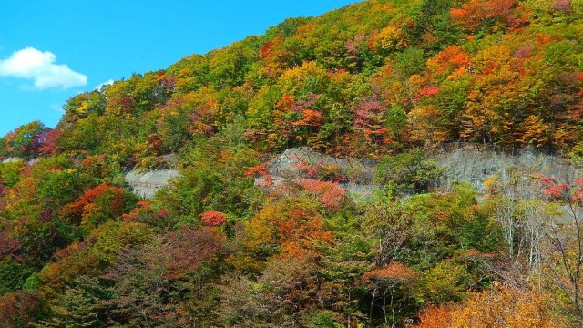 12119909_904437726313211_307058440549667814_o