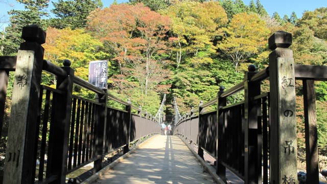 12119954_1666588696886596_5713279698036437272_o