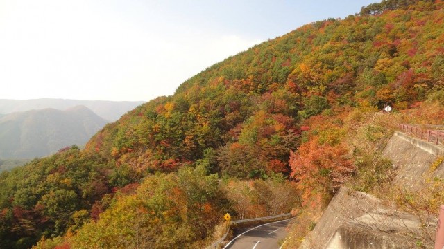 12120055_1667866983425434_8790307013405528309_o