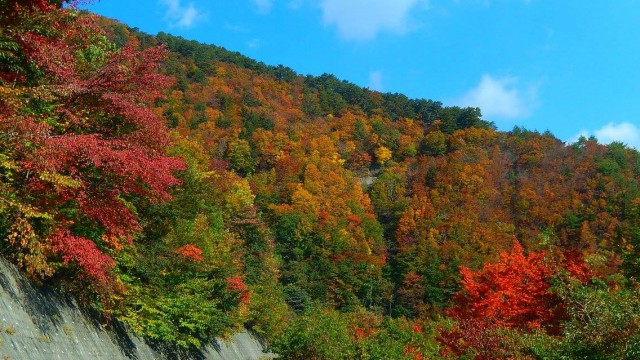 12138583_904438012979849_2426230601144930097_o