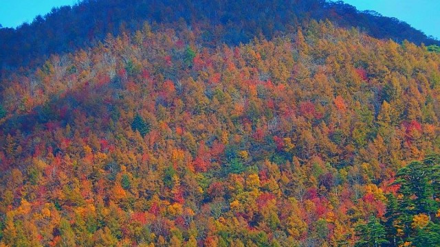 12140100_904437856313198_2492445536870501492_o