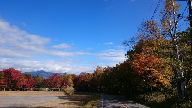 12140884_1666587556886710_8994912884383654971_o