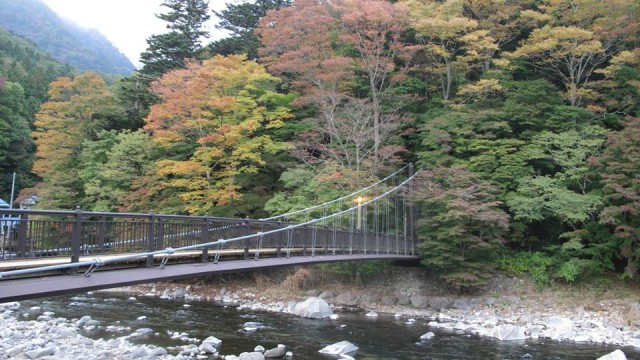 12143313_1667215040157295_495216001275506583_n