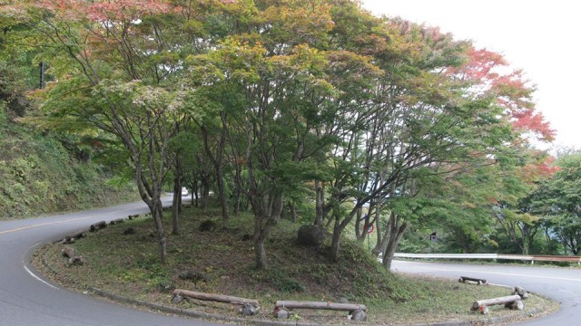 12144728_1667213000157499_1301587394191360075_n