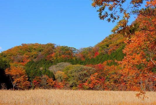 12144847_872037506207830_8999766420382172254_n