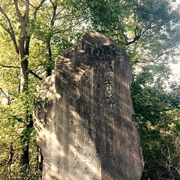 12196149_422784344597205_1680401608128889557_n