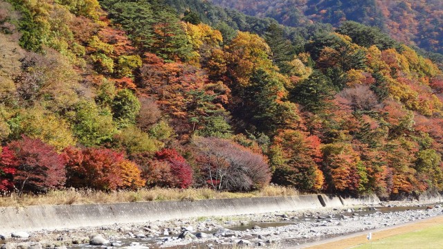 10572064_1671203789758420_7508491694925322700_o