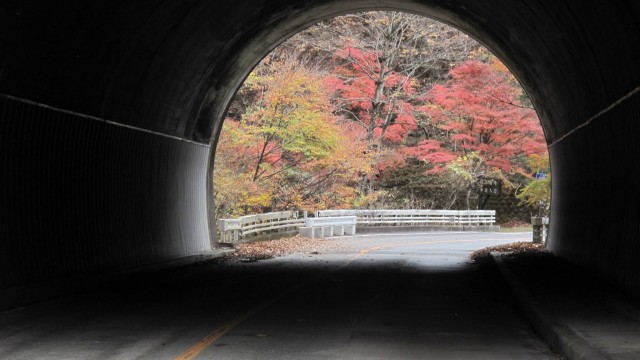 11028052_1672863119592487_5598624258754244519_o