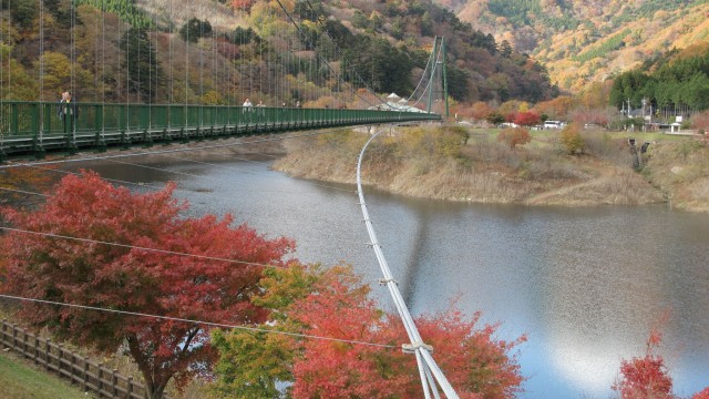 11057287_1672864366259029_6633241732095140199_o